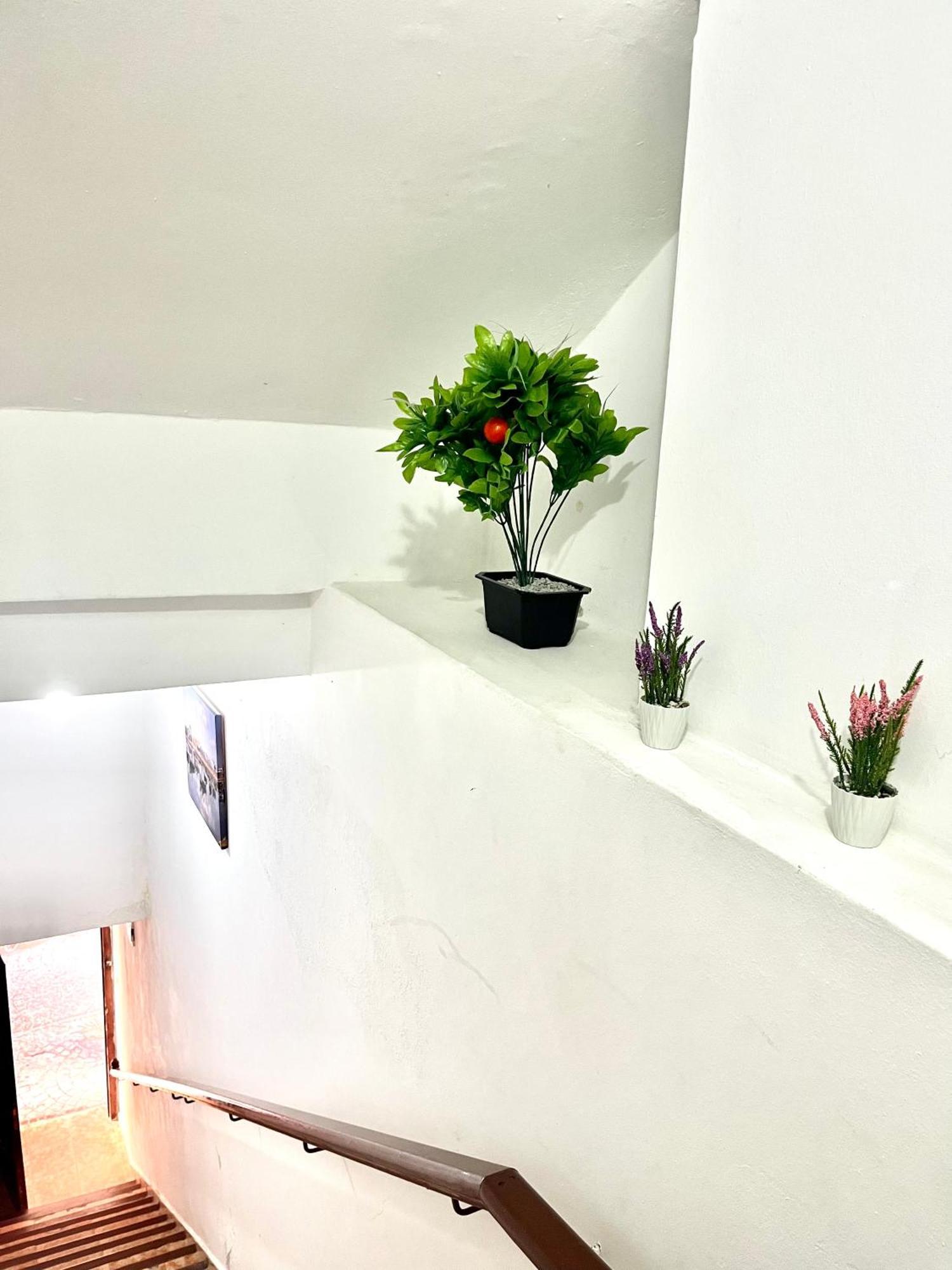 Soleado Apartamento Al Lado De La Preciosa Medina , A 3 Minutos De La Playa Andando I 艾西拉 外观 照片